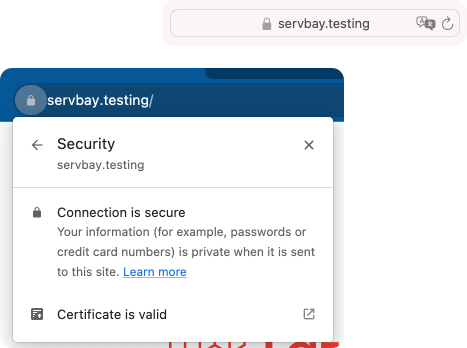 Dominios personalizados y soporte SSL